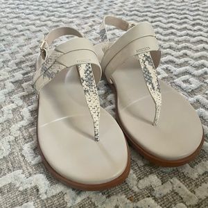 8.5 new Cole Haan sandals